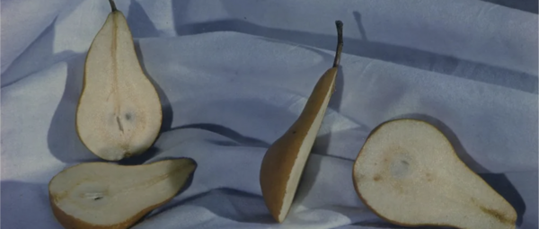 adc-photo-dans-ma-cuisine_capture-decran-2025-06-28-a-11.59.56.png