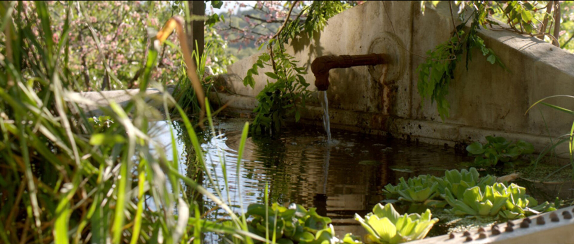 adc-le-gout-des-merveilles_lavoir.jpg