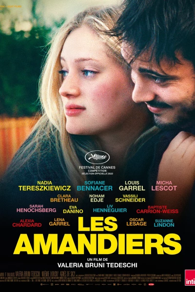 adc-les-amandiers_lesamandiers.webp